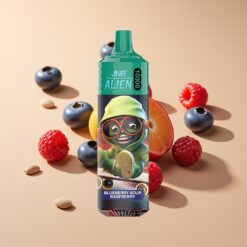 JNR Alien 10000 Puffs Blauwe Bes Zure Framboos Mesh Coil Type-C