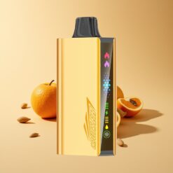 JNR Cruiser 12000 Puffs Koel Fanta Dual Mesh Scherm