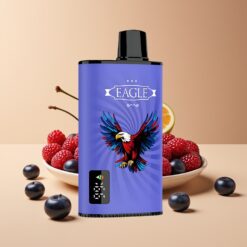 JNR EAGLE Smart 23000 Puffs Wegwerp Vape Blauwe Framboos Kers Type-C Opladen 25ml