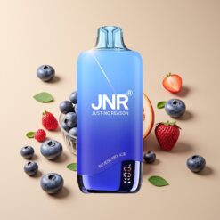 JNR Rainbow 10500 Puffs Blauwe Bes IJs Mesh Coil