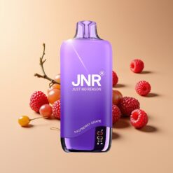 JNR Rainbow 10500 Puffs Framboos Druif Mesh Coil