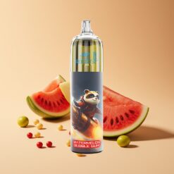 JNR Rocket-X 12400 Puffs Wegwerp Vape Watermeloen Bubble Gum Type-C Snel Opladen 25ml e-Liquid
