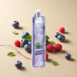 JNR Shisha Hookah 12000 Puffs Disposable Blauwe Bes Munt 750mAh Type-C