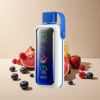 VOZOL Star 20000 Puffs Blauwe Framboos IJs Dual Mesh 650mAh