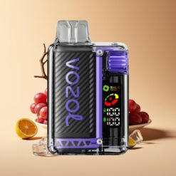 VOZOL Vista 20000 Puffs Druif IJs Rechargeable Eco-Friendly