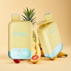 Vapsolo Twins 20000 Puffs Wegwerp Vape Ananas Kokos & Aardbei Banaan Type-C 40 ml