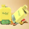 Vapsolo Twins 20000 Puffs Wegwerp Vape Ananas Kokos & Watermeloen Ijs Type-C 40ml