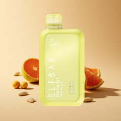 Elf Bar Raya D1 13000 Puffs Herlaadbare MENTHOL IJS Vape